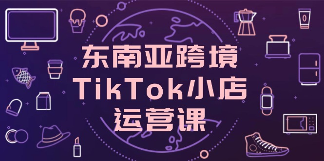 （14390期）东南亚跨境TikTok小店运营课，掌握店铺设置与流量转化核心技巧_天恒副业网
