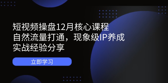短视频操盘12月核心课程：自然流量打通，现象级IP养成，实战经验分享_天恒副业网