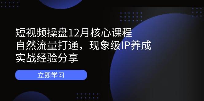 短视频操盘12月核心课程:自然流量打通,现象级IP养成,实战经验分享_天恒副业网