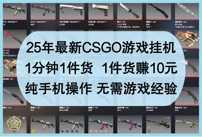 (14439期)25年最新CSGO游戏挂机,1分钟1件货,1件货赚10元纯手机操作无需游戏经验_天恒副业网
