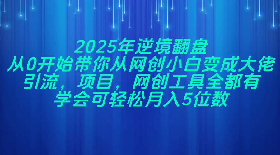 （14473期）2025年逆境翻盘，从0开始带你从网创小白变成大佬，引流，项目，网创工…_天恒副业网