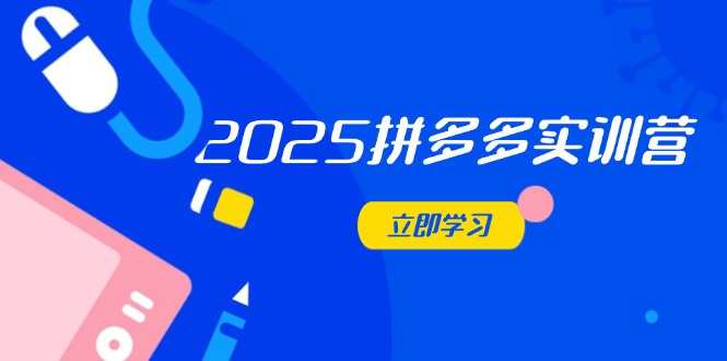 (14531期)2025拼多多实训营:深度剖析运营关键,助力电商人快速提升_天恒副业网