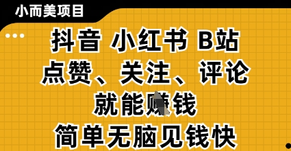 小而美的项目，抖音小红书B站视频点赞、关注、评论就能挣钱，简单无脑立见收益，妥妥的零撸项目_天恒副业网