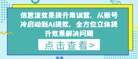 信息流效果提升集训营,从账号冷启动到AI提效,全方位立体提升效果解决问题_天恒副业网