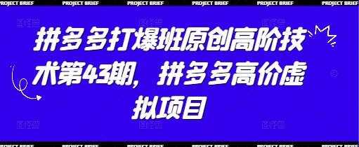 拼多多打爆班原创高阶技术第43期,拼多多高价虚拟项目_天恒副业网