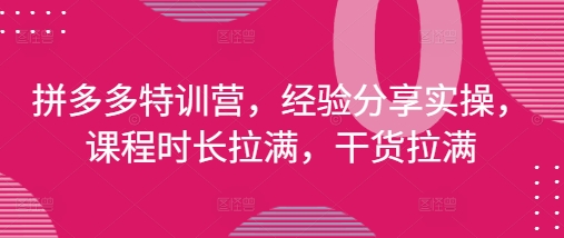 拼多多特训营,经验分享实操,课程时长拉满,干货拉满(更新25年4月)_天恒副业网