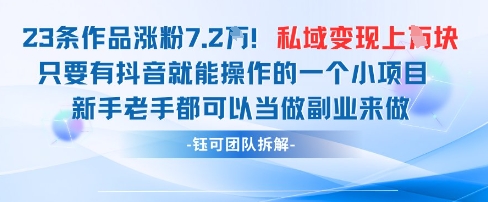 抖音私域项目23条作品涨粉7.2W，私域变现1W_天恒副业网