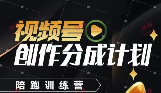 视频号创作分成计划陪跑训练营,手把手教会你如何制作视频,细水长流型项目_天恒副业网