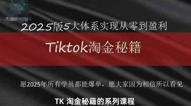 TikTok跨境2025淘金秘籍，​2025TikTok从0到盈利变现_天恒副业网