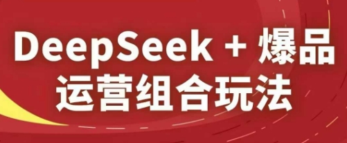DeepSeek+爆品运营组合玩法，2025淘系精品课_天恒副业网