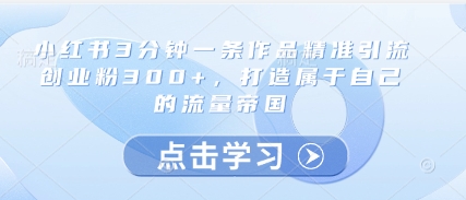 小红书3分钟一条作品精准引流创业粉300+，打造属于自己的流量帝国_天恒副业网