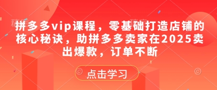 拼多多vip课程,零基础打造店铺的核心秘诀,助拼多多卖家在2025卖出爆款,订单不断_天恒副业网