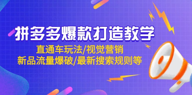 (14681期)拼多多爆款打造教学:直通车玩法/视觉营销/新品流量爆破/最新搜索规则等_天恒副业网
