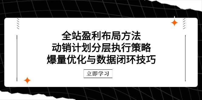 全站盈利布局方法：动销计划分层执行策略，爆量优化与数据闭环技巧_天恒副业网