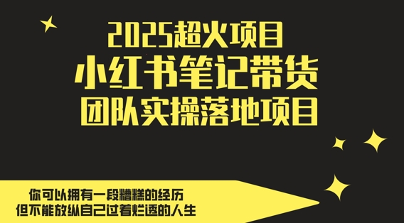 2025超火项目,副业最佳选择,小红书笔记带货团队实操落地项目,,轻松日入5张_天恒副业网
