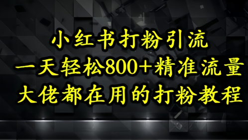 小红书打粉引流，一天轻松500+精准流量，大佬都在用的打粉教程_天恒副业网