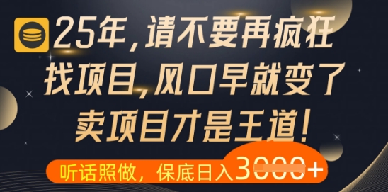 什么？25年你还在疯狂找项目做，醒醒吧，看完这些你全都懂了_天恒副业网