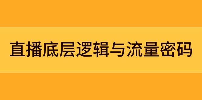 直播底层逻辑与流量密码：定位模型+案例拆解，急速流承接与数据优化全攻略_天恒副业网