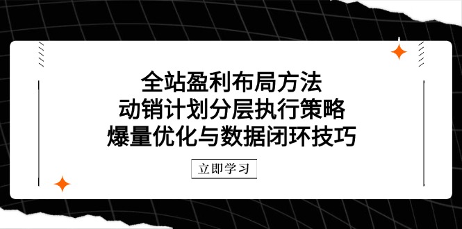 全站盈利布局方法:动销计划分层执行策略,爆量优化与数据闭环技巧_天恒副业网