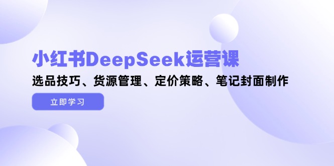 (14748期)小红书DeepSeek运营课,选品技巧、货源管理、定价策略、笔记封面制作_天恒副业网