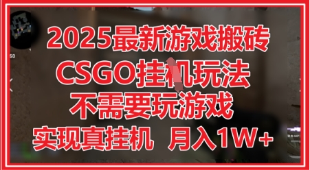 2025最新游戏搬砖,CSGO挂G,不需要玩游戏,实现真挂G,月入1W+_天恒副业网