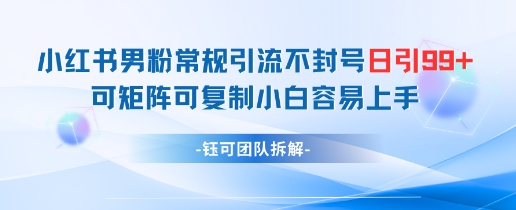 小红书男粉常规引流不封号日引99+变现简单可矩阵可复制小白容易上手_天恒副业网