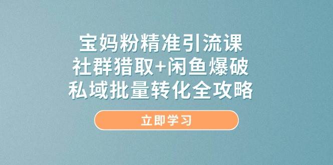 宝妈粉精准引流课，社群猎取+闲鱼爆破，私域批量转化全攻略_天恒副业网