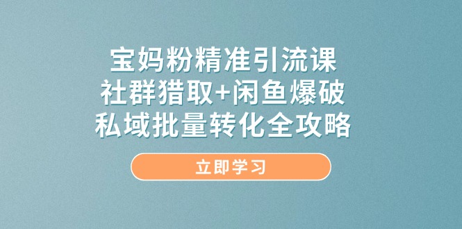 (14820期)宝妈粉精准引流课,社群猎取+闲鱼爆破,私域批量转化全攻略_天恒副业网
