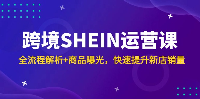 跨境SHEIN运营课，全流程解析+商品曝光，快速提升新店销量_天恒副业网