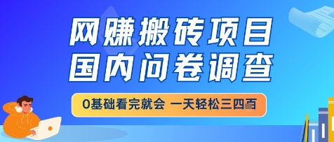 网创搬砖项目,国内问卷调查,小白轻松上手,一天三四张的也不难,干就完了_天恒副业网