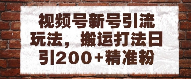 视频号新号引流玩法,搬运打法日引200+精准粉,可矩阵放大_天恒副业网