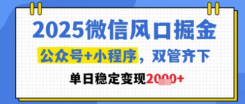 2025微信风口掘金，公众号+小程序双管齐下，单日稳定变现1k+_天恒副业网