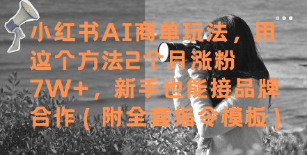 小红书AI商单玩法,用这个方法2个月涨粉7W+,新手也能接品牌合作(附全套指令模板)_天恒副业网