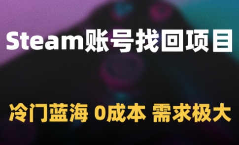 Steam账号找回项目,冷门蓝海,0成本,需求极大_天恒副业网