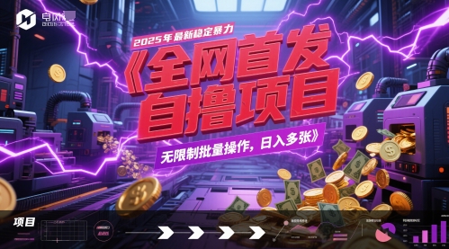 全网首发，2025年最新稳定暴力全自动自撸项目，无限制批量操作，日入多张_天恒副业网