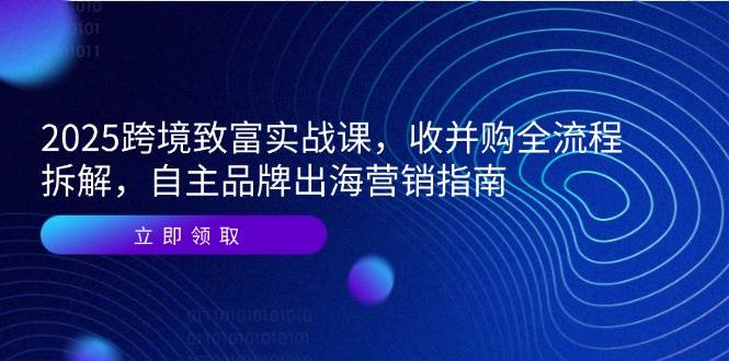 2025跨境致富实战课，收并购全流程拆解，自主品牌出海营销指南_天恒副业网