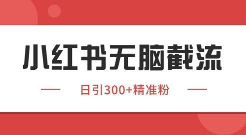 小红书截流同行客源,独家野路子获客玩法日引200+暴力获客_天恒副业网