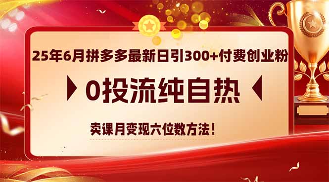 （14989期）25年6月拼多多最新日引300+付费创业粉，0投流纯自热卖课月变现六位数方法_天恒副业网