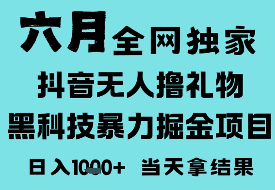 25年6月高爆抖音无人直播最新撸音浪掘金项目，门槛低小白可做，无脑日入1k，可矩阵放大_天恒副业网