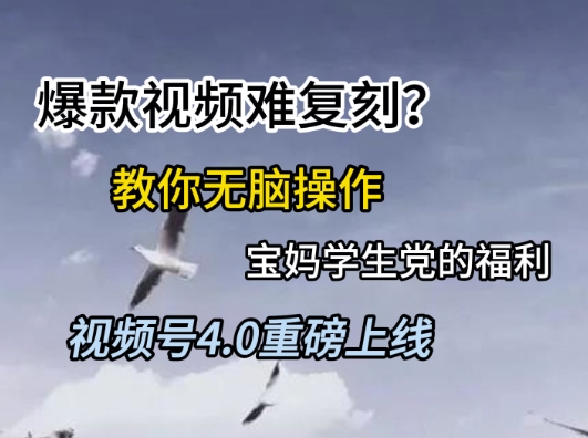 视频号4.0重磅上线，爆款视频难复刻？教你无脑操作宝妈学生党的福利_天恒副业网