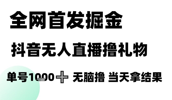 全网首发掘金抖音无人直播撸礼物，单号1k+无脑撸，当天拿结果_天恒副业网