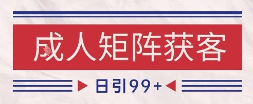 小红书某音橙人赛道引流获客，自热矩阵日引200+_天恒副业网