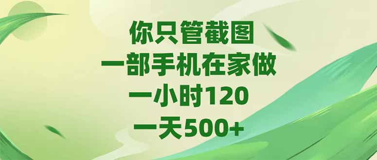 (15039期)你只管截图,一部手机在家做,一小时120,-天500+_天恒副业网