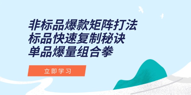 (15068期)非标品爆款矩阵打法,标品快速复制秘诀,单品爆量组合拳_天恒副业网