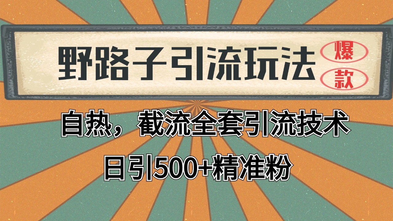 2024首发野路子引流玩法截流自热全平台打法，全自动引流【日引2000+精准客户】_天恒副业网
