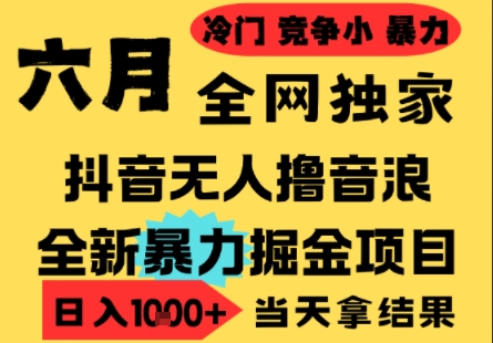 25年6月高爆抖音无人直播最新撸音浪掘金项目,小白可做,无脑日入1k+,门槛低可批量矩阵_天恒副业网