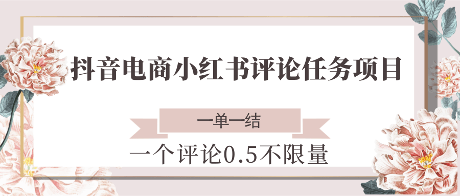 抖音电商小红书评论任务项目，一个评论0.5，一单一结不限量_天恒副业网