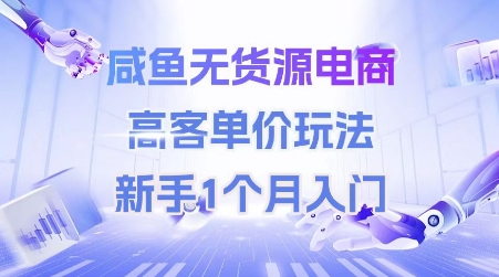 咸鱼无货源电商，高客单价玩法，新手1个月入门_天恒副业网