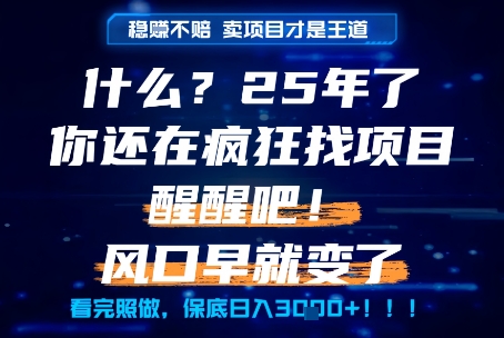 什么？25年你还在疯狂找项目做，醒醒吧，看完这些你全都懂了！_天恒副业网