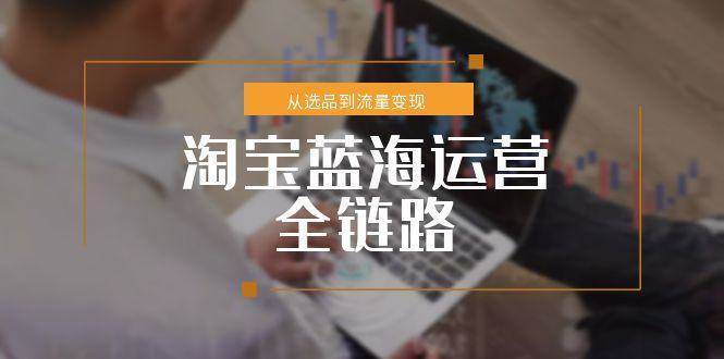 淘宝蓝海运营全链路，从选品到流量变现，小类目突围完整方案_天恒副业网